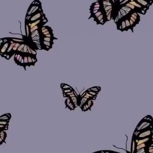 Meet your Posher, Jaiden